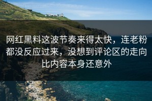网红黑料这波节奏来得太快，连老粉都没反应过来，没想到评论区的走向比内容本身还意外