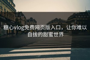 糖心vlog免费网页版入口，让你难以自拔的甜蜜世界