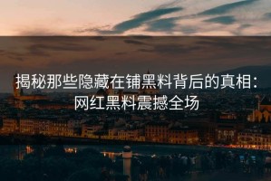 揭秘那些隐藏在铺黑料背后的真相：网红黑料震撼全场