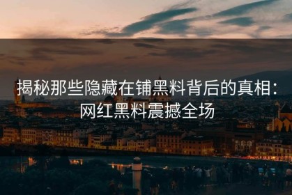 揭秘那些隐藏在铺黑料背后的真相：网红黑料震撼全场
