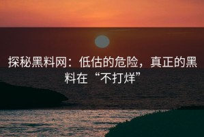探秘黑料网：低估的危险，真正的黑料在“不打烊”