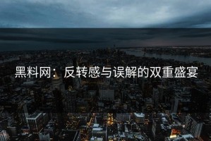 黑料网：反转感与误解的双重盛宴