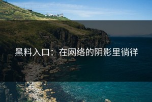 黑料入口：在网络的阴影里徜徉