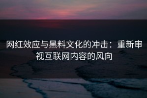 网红效应与黑料文化的冲击：重新审视互联网内容的风向