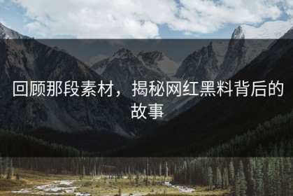 回顾那段素材，揭秘网红黑料背后的故事