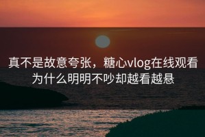 真不是故意夸张，糖心vlog在线观看为什么明明不吵却越看越悬