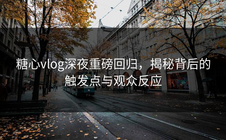 糖心vlog深夜重磅回归，揭秘背后的触发点与观众反应