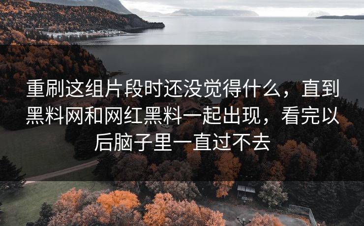 重刷这组片段时还没觉得什么，直到黑料网和网红黑料一起出现，看完以后脑子里一直过不去