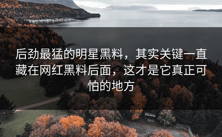 后劲最猛的明星黑料，其实关键一直藏在网红黑料后面，这才是它真正可怕的地方