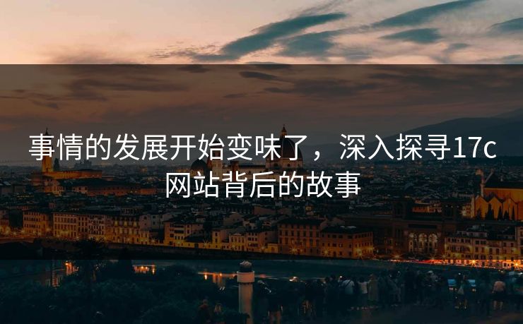 事情的发展开始变味了，深入探寻17c网站背后的故事