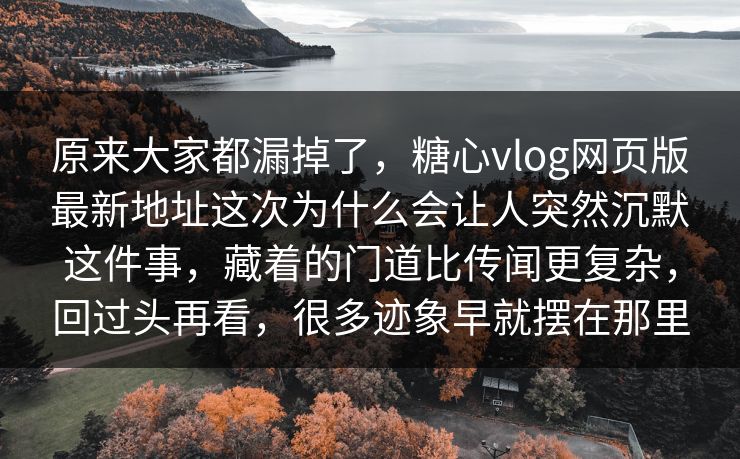 原来大家都漏掉了，糖心vlog网页版最新地址这次为什么会让人突然沉默这件事，藏着的门道比传闻更复杂，回过头再看，很多迹象早就摆在那里