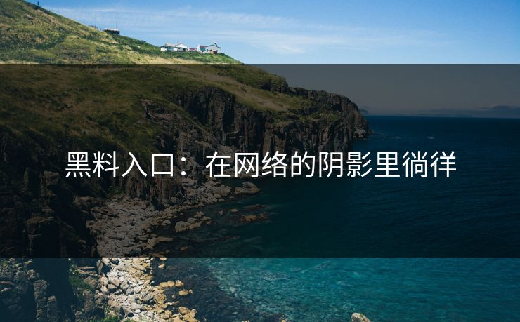 黑料入口：在网络的阴影里徜徉
