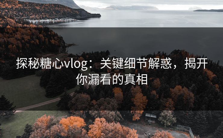 探秘糖心vlog：关键细节解惑，揭开你漏看的真相