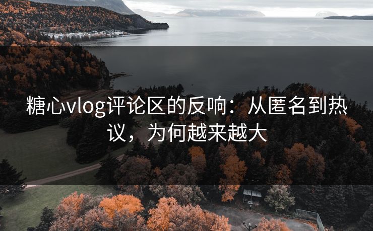 糖心vlog评论区的反响：从匿名到热议，为何越来越大