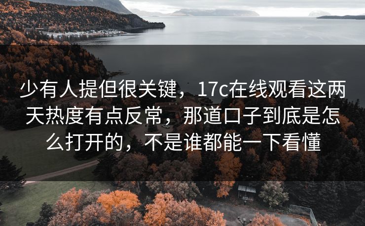 少有人提但很关键，17c在线观看这两天热度有点反常，那道口子到底是怎么打开的，不是谁都能一下看懂
